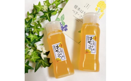 豊川産百花はちみつ　液だれしない倒立ボトル250g×2本【1620197】