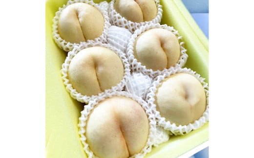 【先行予約】 希少品種 ・ 岡山の白桃 ・ 白露 2kg箱（約6個～9個） 【2025年9月発送予定】 ／ 桃 もも モモ はくとう はくろ 果物 くだもの フルーツ デザート 冷蔵 2118672 - 岡山県美咲町