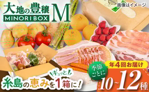 【全4回定期便】いとしま・大地の豊穣 MINORI BOX Mサイズ【季節ごとに年4回お届け】 糸島市 / emma.Inc / 米 肉 野菜 果物 詰め合わせ [AOP002]