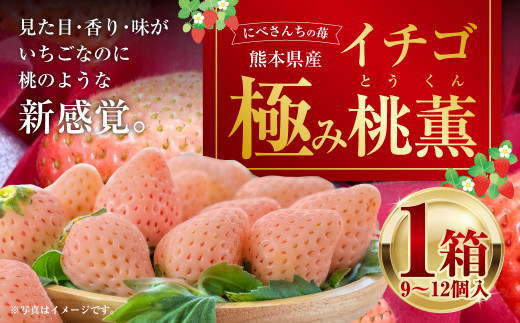 にべさんちの苺 熊本県産イチゴ極み桃薫(とうくん) [2026年1月下旬発送開始]