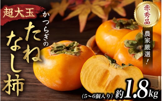 柿 種無し 赤秀品 超大玉 約1.8kg 5～6個 【先行予約】【2025年9月下旬から10月下旬頃発送】【kgr023】 2118202 - 和歌山県太地町