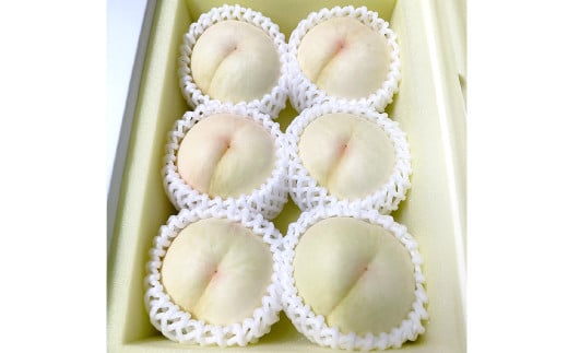 【先行予約】 希少品種の岡山の白桃 ・ 甘甘燦燦 1.5kg箱（約4個～6個） 【2025年9月発送予定】 ／ 桃 もも モモ はくとう あまあまさんさん 果物 くだもの フルーツ デザート 冷蔵 2118673 - 岡山県美咲町