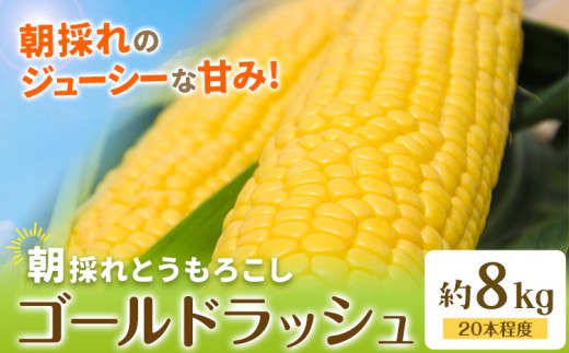 とうもろこし 約8kg(20本程度) 野木町産 老沼 利治《6月中旬-7月中旬頃出荷》栃木県 野木町 ジューシー 生食可能 旬の野菜 健康食 バーベキュー 焼き 茹で とうもろこし ゴールドラッシュ 黄色 イエロー 朝採れ クール便 先行予約 野菜 スイートコーン コーン 1314655 - 栃木県野木町