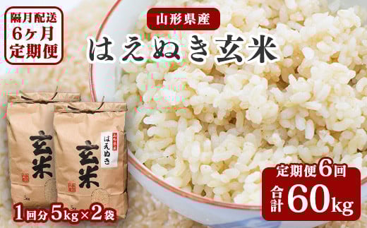 [令和7年産][6回定期便:選べる配送時期] はえぬき 玄米 合計60kg (10kg(5kg×2袋)× 6回) 山形県産 [ 減農薬栽培 新米 ] 140-C-JF017-偶数月