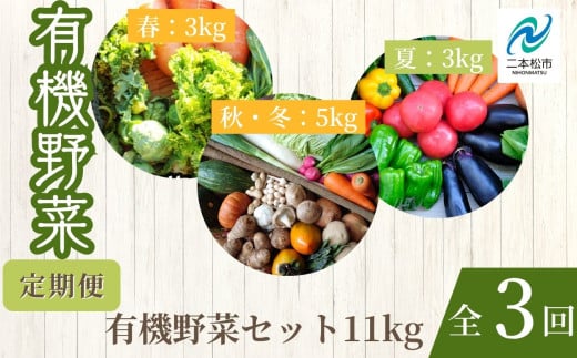 【定期便】全3回！季節の有機野菜セット  オーガニック 有機栽培 有機 有機JAS 有機野菜 野菜セット 野菜 サラダ 定期便 おすすめ お中元 お歳暮 ギフト 二本松市 ふくしま 福島県 送料無料【一般社団法人二本松有機農業研究会】 2055209 - 福島県二本松市