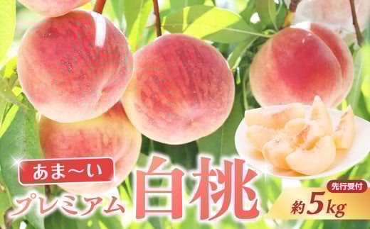 ≪先行受付≫ 甘～い プレミアム白桃 約5kg【2025年8月中旬頃～発送予定】 【060-015】