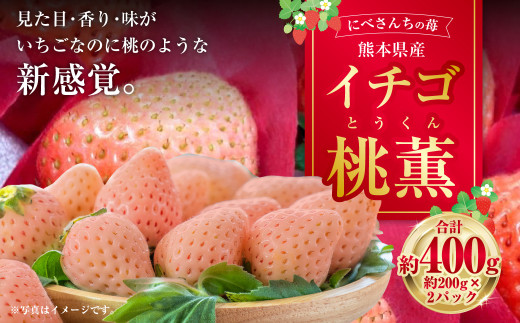 にべさんちの苺 熊本県産イチゴ桃薫(とうくん) 約400g [2026年1月下旬発送開始]