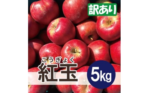 ＜26年4月出荷予定＞紅玉 約5kg 訳あり CA貯蔵 クール便【1612932】 2078273 - 青森県青森市