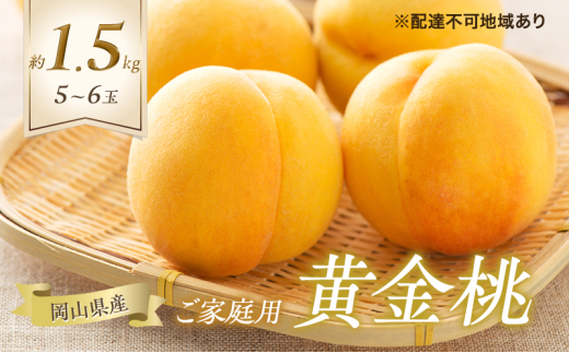 桃 2025年 先行予約 ご家庭用 岡山の 黄金桃 5〜6玉 合計約1.5kg もも モモ 岡山県産 国産 フルーツ 果物 ギフト