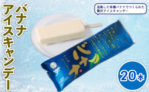 バナナアイスキャンデー80ml✕20本 | アイスクリーム 人気 大容量 有名 アイスセット 詰め合わせ スイーツ ジェラート 久保田食品 高知県 南国市 2067569 - 高知県南国市