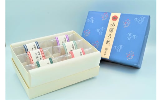 [岩谷][美彩山海]山海うめ 六個入 3セット