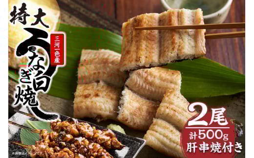 【土用の丑の日対応　一の丑7/6（日）入金まで二の丑7/21（月）入金まで】三河一色産　最高級うなぎセット 特大2尾（白焼2尾）計500g（冷蔵配送）（2332） 2118197 - 愛知県知立市