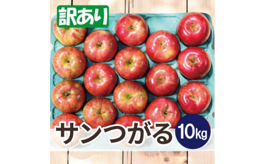 ＜2025年9月発送予定＞平均糖度12度以上! サンつがる 約10kg 訳あり クール便【1607391】 2059317 - 青森県青森市