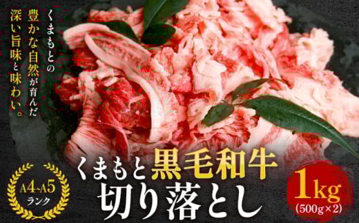  【A4～A5】くまもと黒毛和牛 切り落とし 1kg 《30日以内に出荷予定(土日祝除く)》 牛肉 くまもと黒毛和牛 黒毛和牛 冷凍庫 切り落とし Esprit