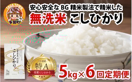 【先行予約】【令和７年産新米早期予約　毎月定期配送・計6回】 BG無洗米こしひかり5kg×6回【2025年10月以降毎月お届け】[K-00401] / 滋賀県産 多賀町 コシヒカリ 米 お米 こめ コメ 白米 ご飯 精米 5kg 袋 定期便 6ヶ月連続 国産 送料無料 おすすめ 人気 大人気 国産 ランキング 無洗米 ヌカ 2121552 - 滋賀県多賀町