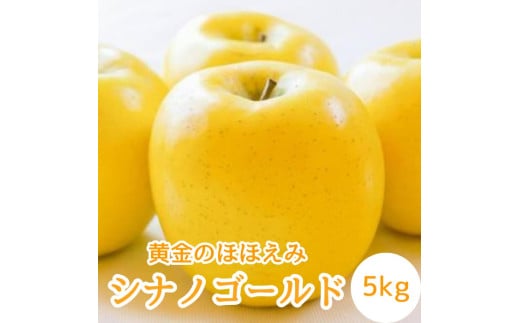 【南信州高森産】黄金のほほえみシナノゴールド5kg 秀＜10月下旬発送＞ 1499842 - 長野県高森町