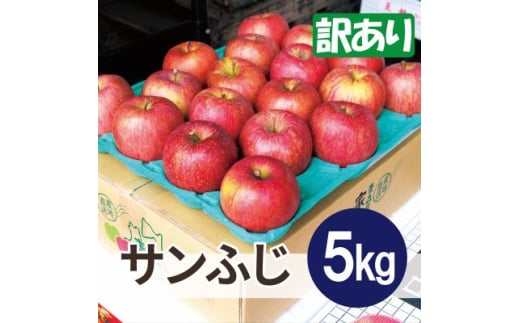 ＜26年5月出荷予定＞平均糖度13度以上! サンふじ 約5kg 訳あり CA貯蔵 クール便【1612840】 2078319 - 青森県青森市