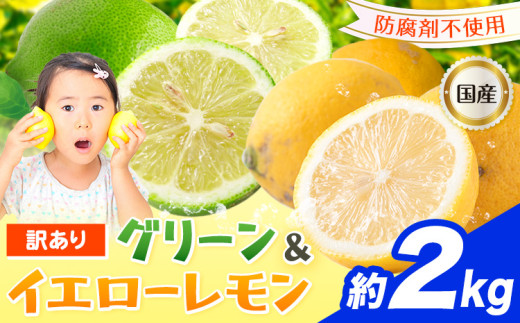 訳あり 国産レモン 約2kg [10月上旬-1月下旬頃出荷]産地直送 レモン 檸檬 グリーンレモン イエローレモン 防腐剤不使用