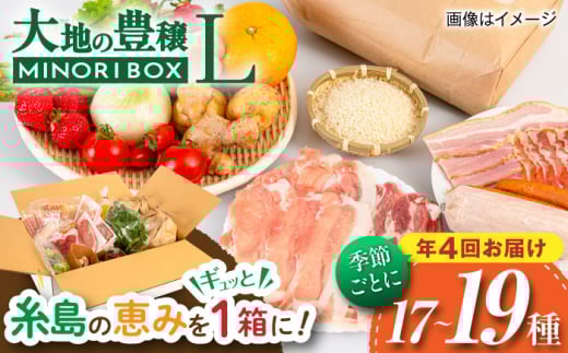 【全4回定期便】いとしま・大地の豊穣 MINORI BOX Lサイズ【季節ごとに年4回お届け】 糸島市 / emma.Inc / 米 肉 野菜 果物 詰め合わせ [AOP003]