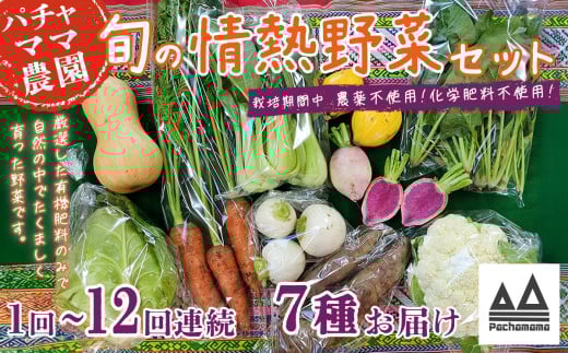 [選べる お届け回数]農園自慢の情熱野菜セット(7品)[定期便 野菜 詰め合わせ お任せ 季節物 セット 山芋 パセリ わさび菜 ポップコーン かぶ 人参 里芋 たまねぎ 玉ねぎ ルッコラ ほうれん草 春菊 大根 芽キャベツ レタス じゃがいも さつまいも とうもろこし そら豆 枝豆 パクチー ビーツ ほうれん草 キャベツ ピーマン なすトマト かぼちゃ]