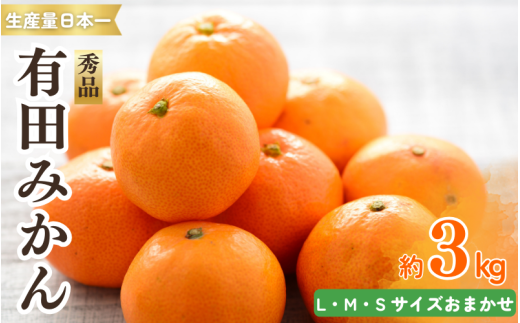 紀州有田みかん　秀品　約３kg　サイズおまかせ(Ｌ・М・Ｓ) 【sml128A】 ※2025年11月下旬～2026年1月中旬頃順次発送予定 2118472 - 和歌山県由良町