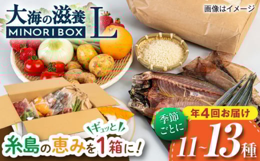 【全4回定期便】いとしま・大海の滋養 MINORI BOX Lサイズ【季節ごとに年4回お届け】　糸島市 / emma.Inc / 米 魚 野菜 果物 詰め合わせ [AOP006]
