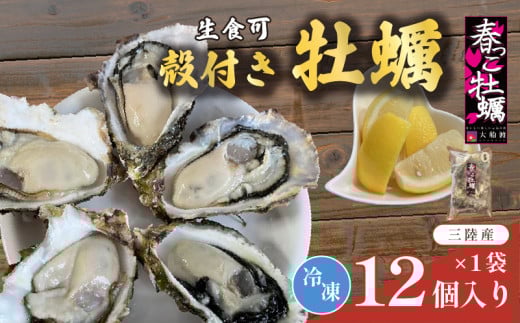 【 数量限定 】殻付き 春っこ 牡蠣 1袋 ( 12個入り ) 生食用 冷凍 数量限定