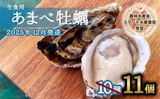 先行予約 あまべ牡蠣 11個 牡蠣 シングルシード 生食用 殻付き かき カキ オイスター 生ガキ 生牡蠣 生がき 生かき ギフト 貝 旨味 [2025年12月発送]