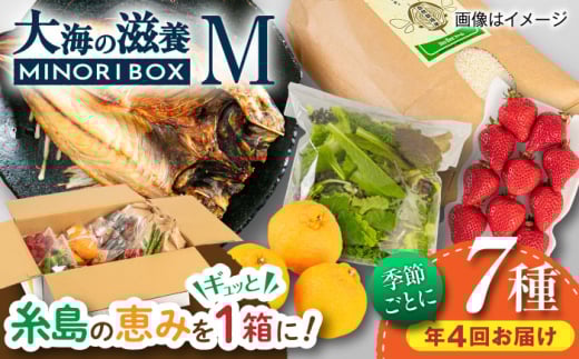【全4回定期便】いとしま・大海の滋養 MINORI BOX Mサイズ【季節ごとに年4回お届け】 糸島市 / emma.Inc / 米 魚 野菜 果物 詰め合わせ [AOP005]