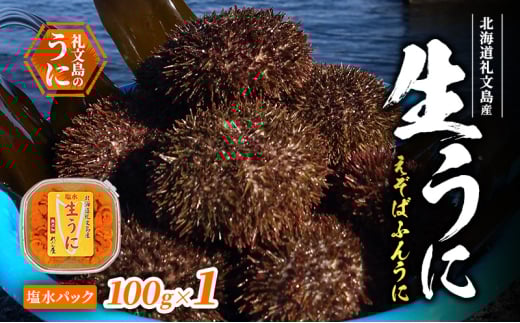 北海道 礼文島産 生うに (えぞばふんうに) 塩水パック 100g×1 生ウニ 塩水うに 魚貝類 雲丹