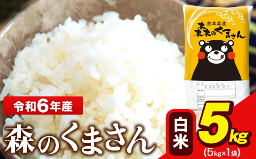 令和6年産 森のくまさん 5kg × 1袋 白米 熊本県産 単一原料米 森くま[7-14日以内に出荷予定(土日祝除く)]送料無料