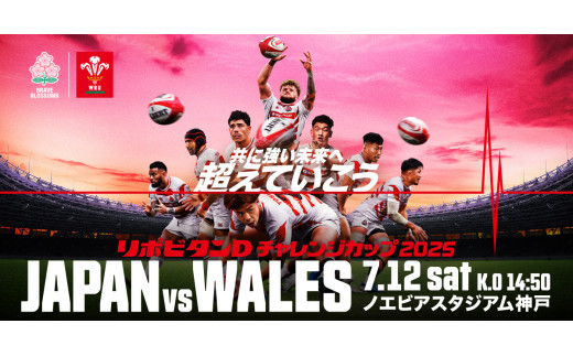 [カテゴリー1メイン(南)のチケット (1名分) ]2025年7月12日(土)リポビタンDチャレンジカップ2025 [ラグビー日本代表 - ウェールズ代表]