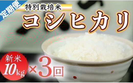 令和７年産 (精白米)　特別栽培米　こしひかり10kg ×3袋