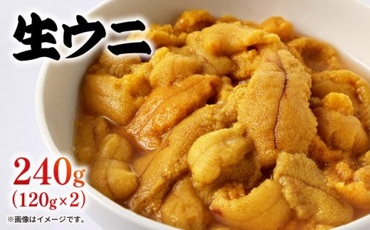生ウニ 240g (120g×2) 冷蔵 無添加 ミョウバン不使用 ムラサキウニ 季節限定 生うに 生雲丹 天然 海鮮丼 寿司 ウニ丼 刺身 岩手県産