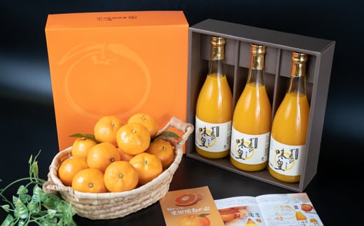 M086　有田みかんの味皇７２０ｍｌ×３本 2122589 - 和歌山県和歌山県庁