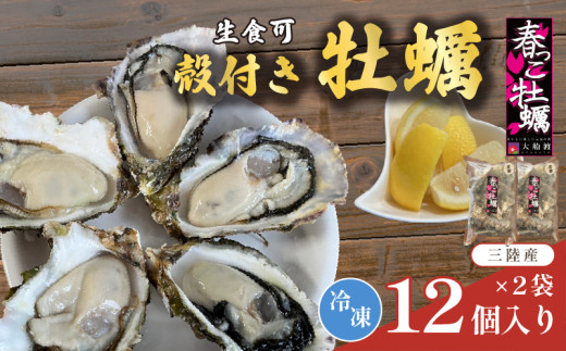 【 数量限定 】殻付き 春っこ 牡蠣 2袋 (12個入×2 ) 生食用 冷凍 数量限定