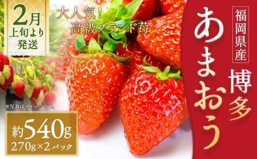 いちご「あまおう」 約270g×2パック 合計 約540g【2026年2月上旬～3月下旬発送】 1334097 - 福岡県筑後市