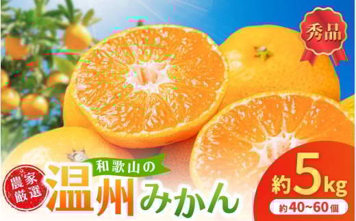和歌山県産温州みかん　秀品　約5kg（約40個～60個入）【先行予約】【2025年11月初旬頃から2026年1月中旬頃順次発送予定】 / みかん フルーツ 果物 柑橘 和歌山【kgr032】 2119202 - 和歌山県太地町