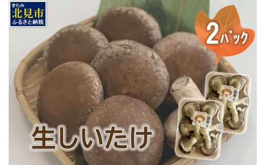 北海道産 生しいたけ(菌床) 2パック ( きのこ キノコ 椎茸 シイタケ )【038-0006】