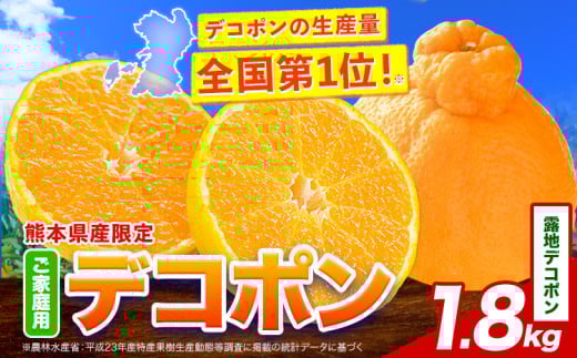 露地デコポン 約1.8kg(3-5玉前後) 《2月出荷予定(土日祝除く)》 柑橘 不知火 デコポン みかん フルーツ 果物 旬 ご家庭用 訳あり みかん 好き必見 2016487 - 熊本県津奈木町