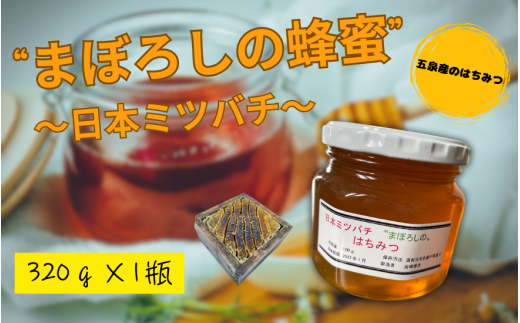 日本ミツバチのはちみつ 320g × 1瓶 新潟県 五泉市 養蜂massugu 2123083 - 新潟県五泉市