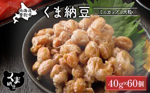 北海道くま納豆ミニカップ 大粒 60個 《順次発送》 国産 なっとう ナットウ 高級 大豆 厳選 老舗 栄養 発酵 ふるさと納税 北海道 登別市