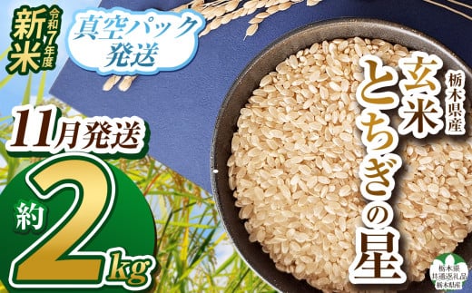 【栃木県共通返礼品】【先行予約】【11月発送】令和7年度新米 栃木県産とちぎの星 2kg | 玄米 精米 お米 コメ とちぎの星 先行予約 ブランド米 栃木県 特産品  下野市 送料無料