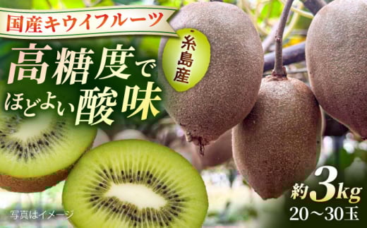 糸島産東京ゴールド約3kg 糸島市 / 南国フルーツ株式会社 / キウイフルーツ キウイ [AIK030]
