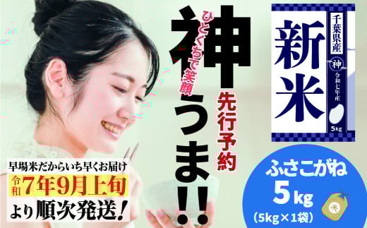 《先行予約・令和7年産新米》千葉県神崎町産 ふさこがね 5kg ×1袋｜早場米産地の新米を食卓へ｜9月以降順次発送予定｜数量限定【精米 米 お米 新米 白米 ご飯 白ごはん 弁当 5キロ 10キロ 20キロ】[025-a007]