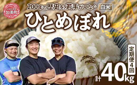 【10kg×4回 計40kg】 米 宮城県産 ひとめぼれ 10kg 定期便 《 令和7年産 新米予約 》 白米 精米 ご飯 ごはん コメ こめ お米 小分け 家庭用 結心ファーム [ 宮城県 加美町 ] 2072550 - 宮城県加美町