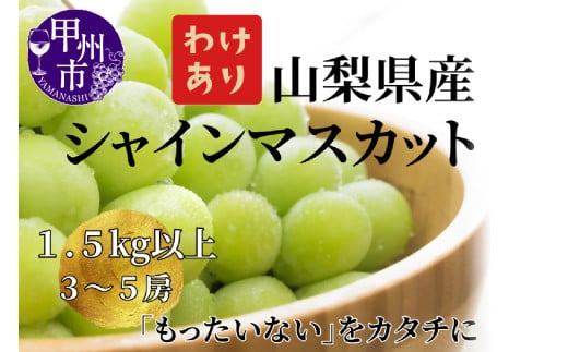 【訳あり】山梨県産旬のシャインマスカット 1.5kg以上（3～5房）【2025年発送】（LKS）B12-850 【シャインマスカット 葡萄 ぶどう ブドウ 令和7年発送 期間限定 山梨県産 甲州市 フルーツ 果物】 2119386 - 山梨県甲州市