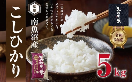 【令和7年産新米予約】南魚沼産こしひかり みやた米5kg【2025年11月上旬より順次発送予定】 1219058 - 新潟県南魚沼市
