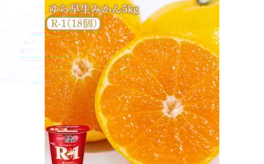 【ふるさと納税】ゆら早生みかん5kgと四国明治株式会社で作られた プロビオヨーグルトR-1　18個 [ 三豊市 24000 24,000円 返礼品 マミィギフトカガワ ] ※配送不可地域：北海道・沖縄県・離島