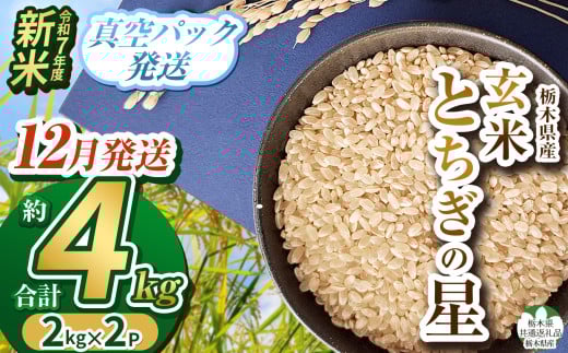 【栃木県共通返礼品】【先行予約】【12月発送】令和7年度新米 栃木県産とちぎの星 2kg×2 | 玄米 精米 お米 コメ とちぎの星 先行予約 ブランド米 栃木県 特産品  下野市 送料無料